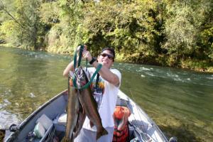 McKenzie River Summer Steelhead