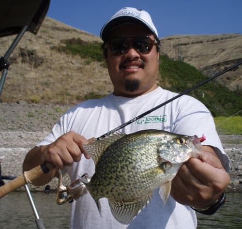 An angler crappie fishing with a nice catch on a jig at Brownlee Reservoir.