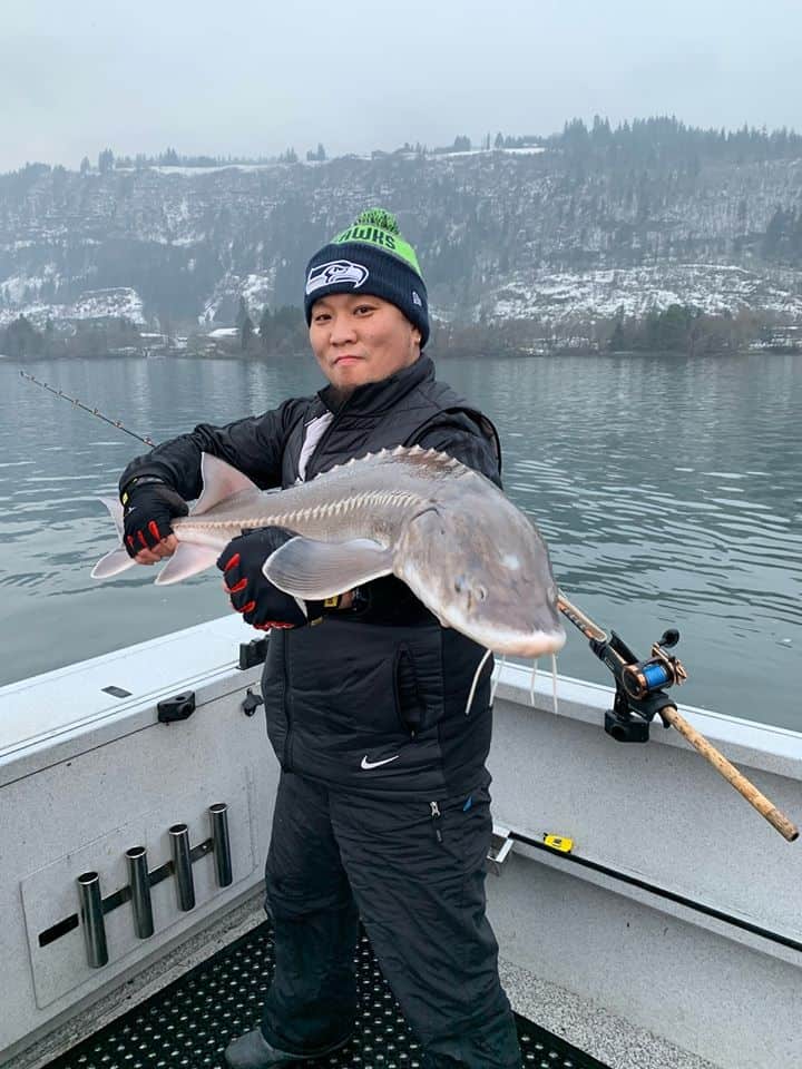 An angler holding a bonneville pool sturgeon caught at  columbia river.