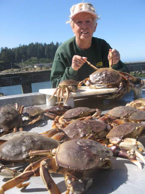 An angler showcasing caught crabs.