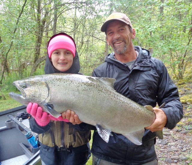 A thick spring chinook salmon caught on the rogue river.