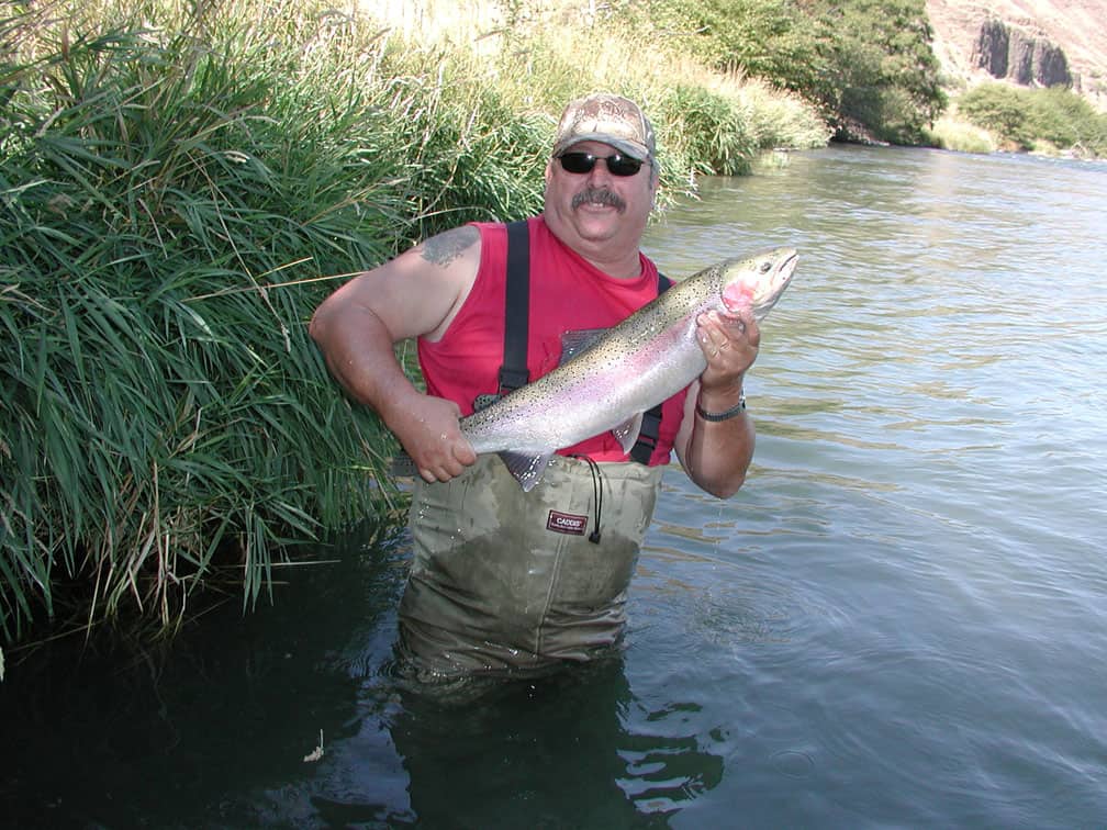 A fisherman holds a nice lower river deschutes steelhead.