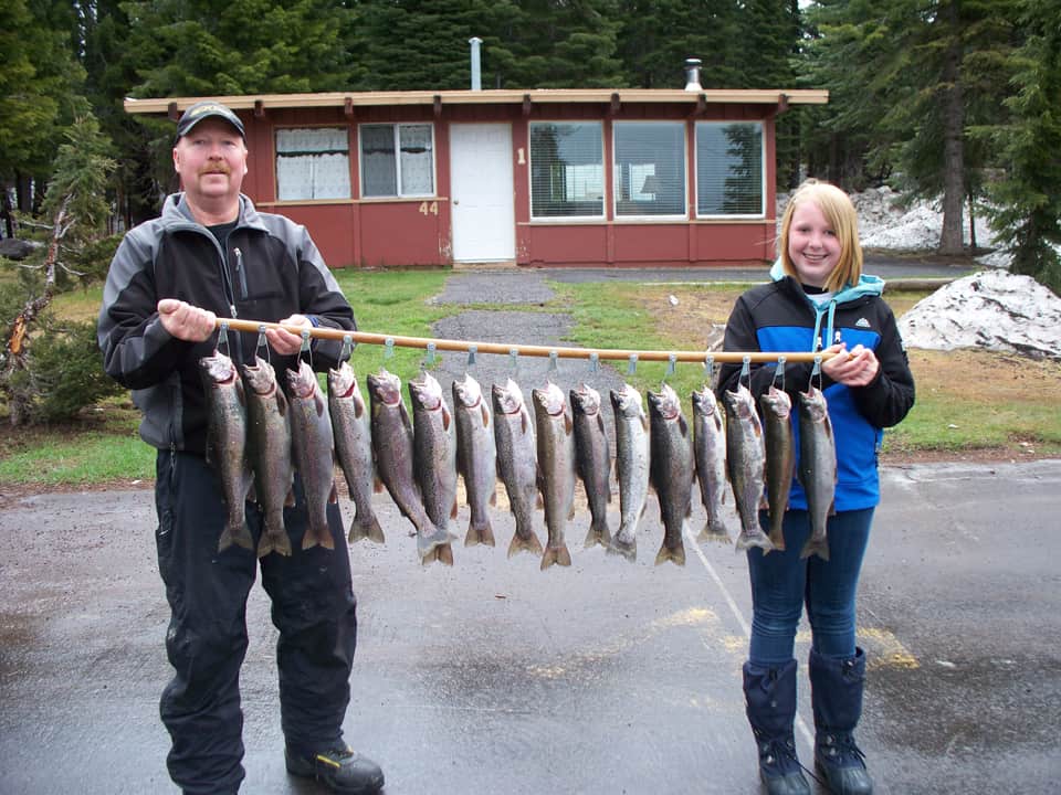 Long string of trout caught at oregon's diamond lake.