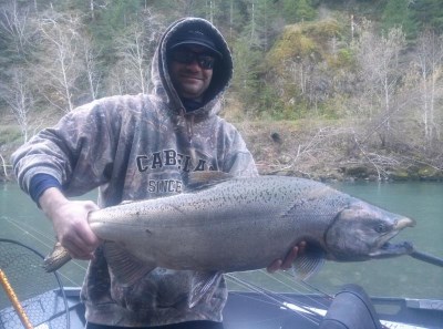 An angler holding a fall chinook caught at elk river.