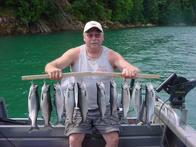 A long stringer of green peter reservoir kokanee.