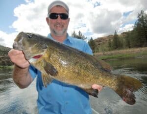 An angler holding a smallmouth bass caught in john day river in the spring.