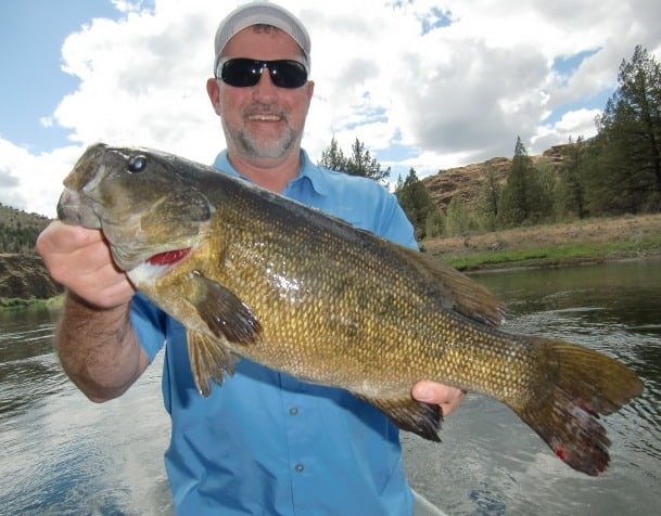 John Day River Smallmouth Bass Fishing - Spring Tactics That Catch Big Bass  - Best Fishing in America