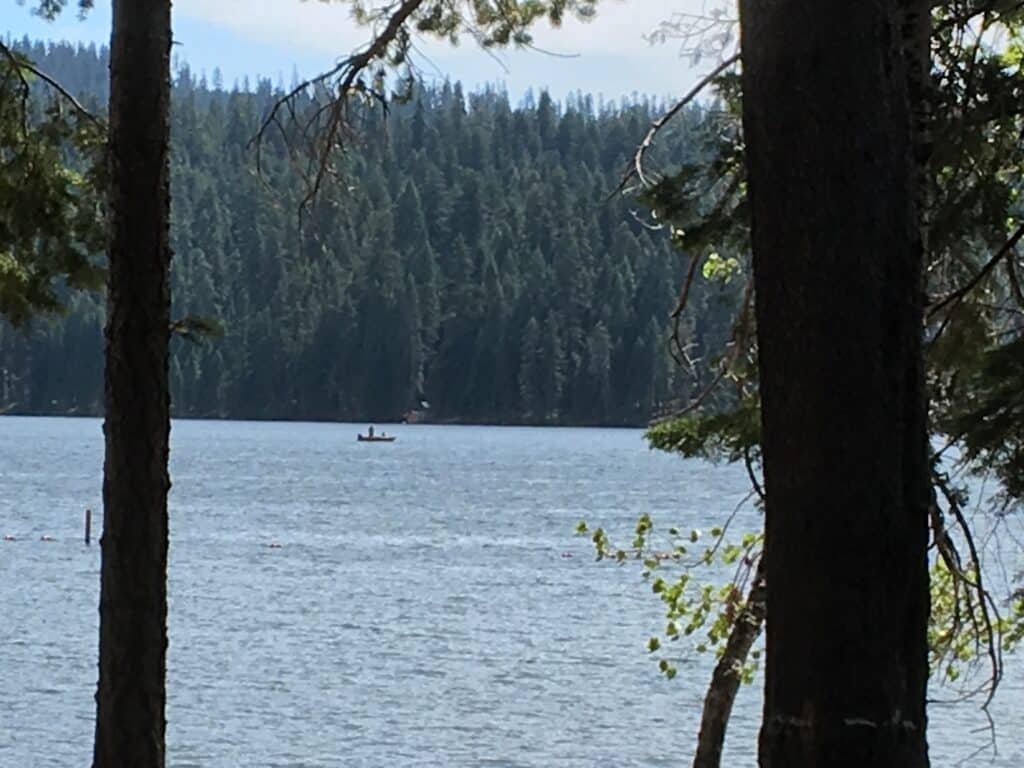 A scenic view of lake of the woods with a fishing boat showing between tree trunks.