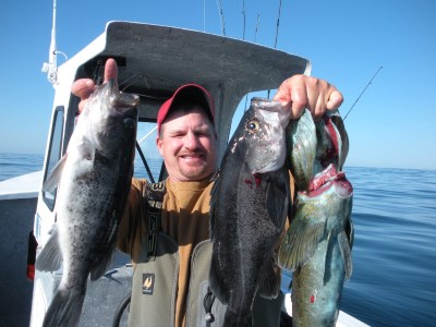 Angler holding a large catch of Pacific bottomfish.