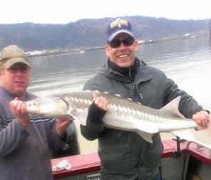 Two anglers hold a sturgeon.