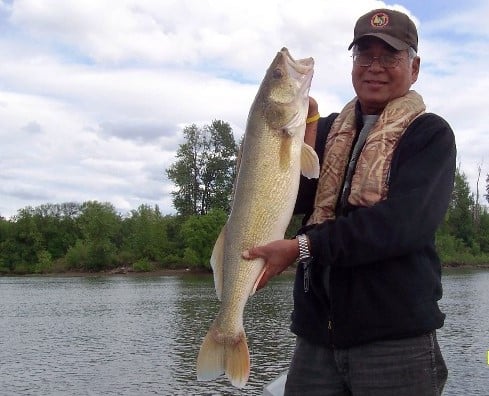 Angler holding a large walleye caught in the lower multnomah channel in columbia county oregon.