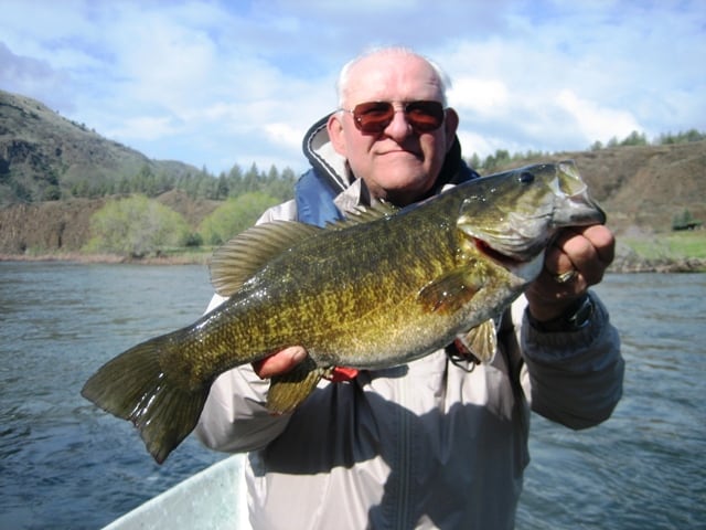 An angler holding a smallmouth bass caught at john day river.
