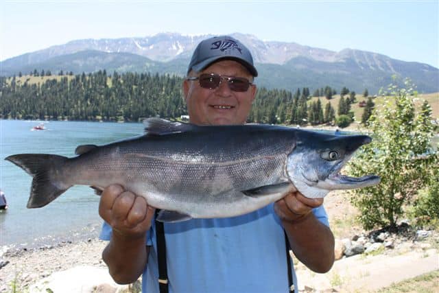 An angler holding a state record kokanee.