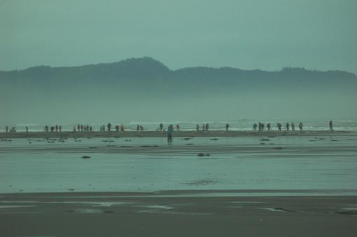 Group of people razor clamming near seaside.