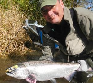 An angler holding a nice wilson river salmon.