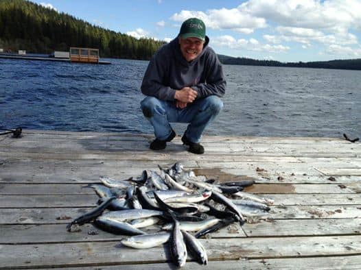 An angler showcasing a bunch of kokanee caught at odell lake, oregon.