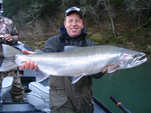 A huge umpqua river winter steelhead being held by an angler.