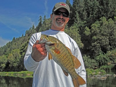 A good sized smallmouth bass caught in the umpqua river in oregon.