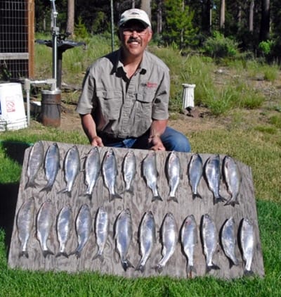 An angler showcasing a bunch of kokanee caught in oregon.