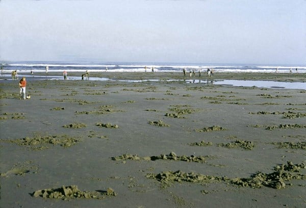 A spot for razor clam digging.