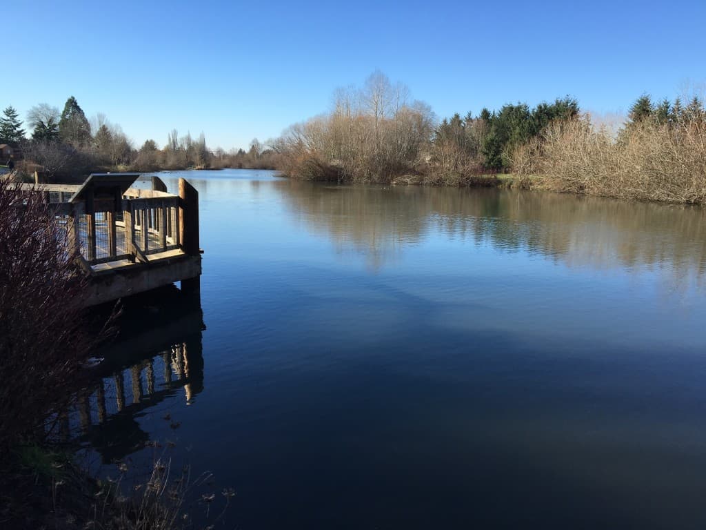 A scenic view of commonwealth Lake near beaverton.