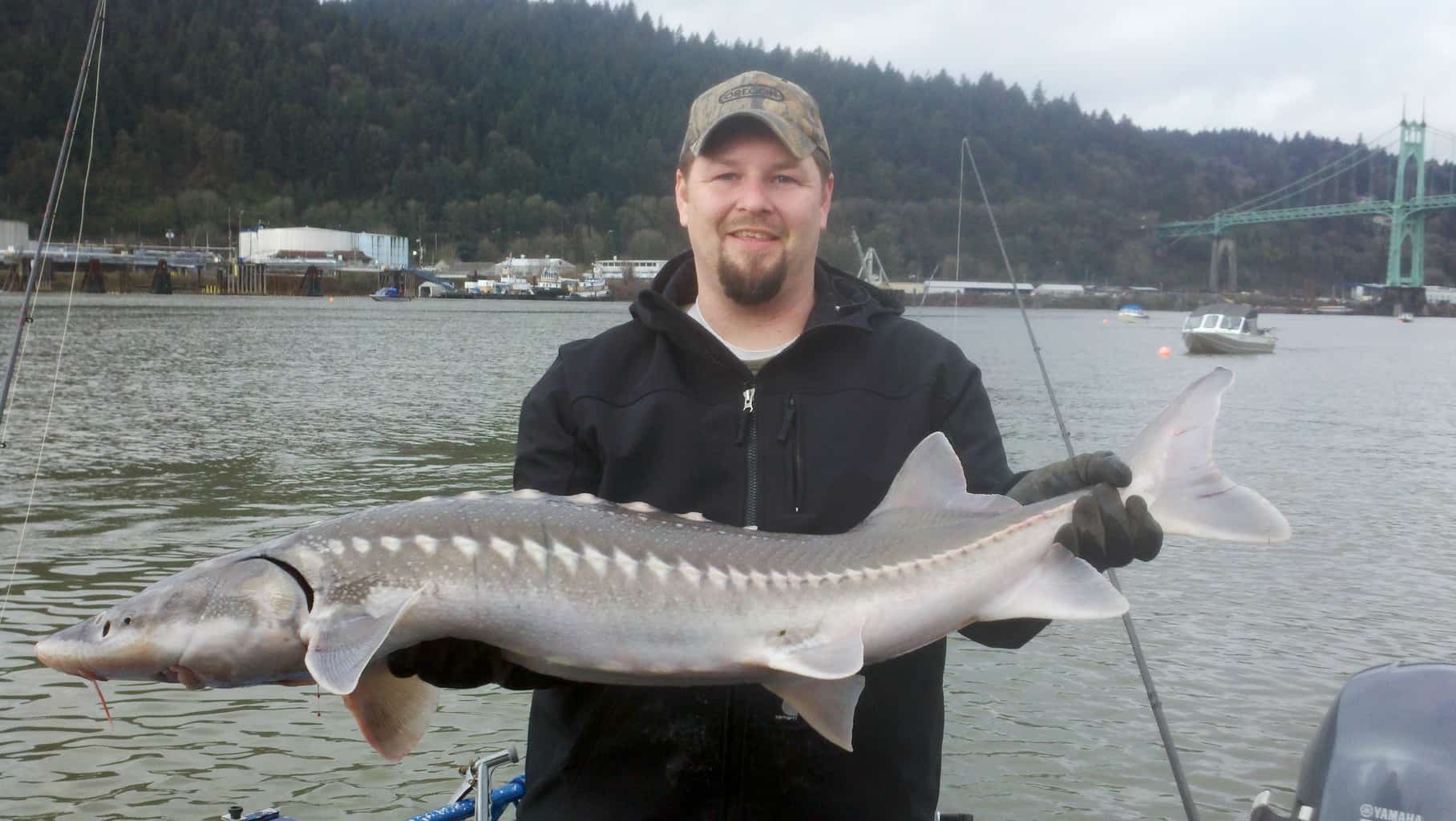 An angler holding a sturgeon caught at willamette river.