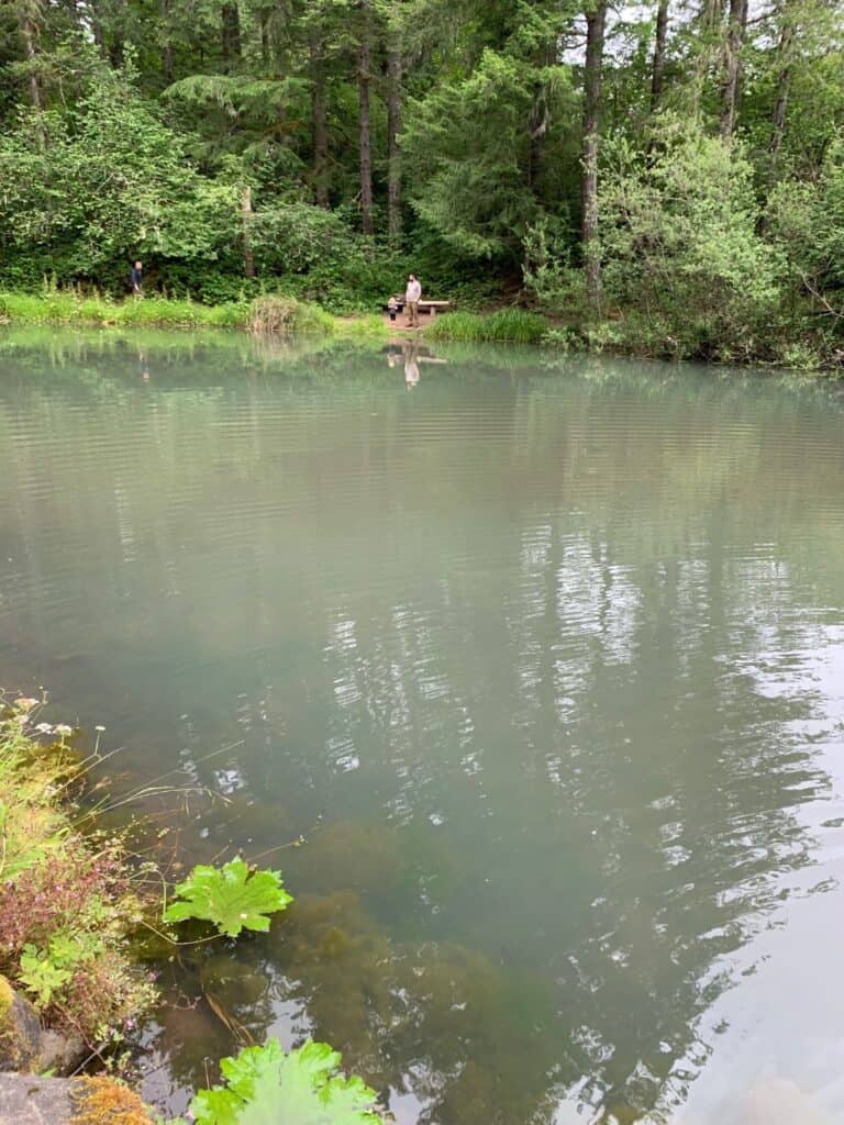 A scenic view of Small Fry Lake with trees in the background.