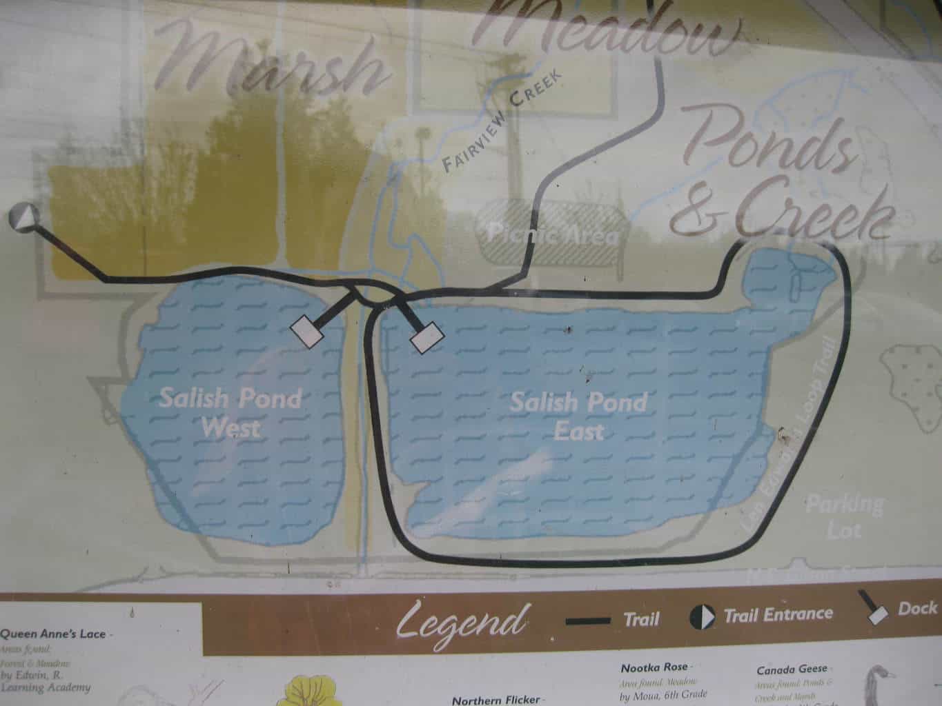 A map of salish ponds in fairview oregon.