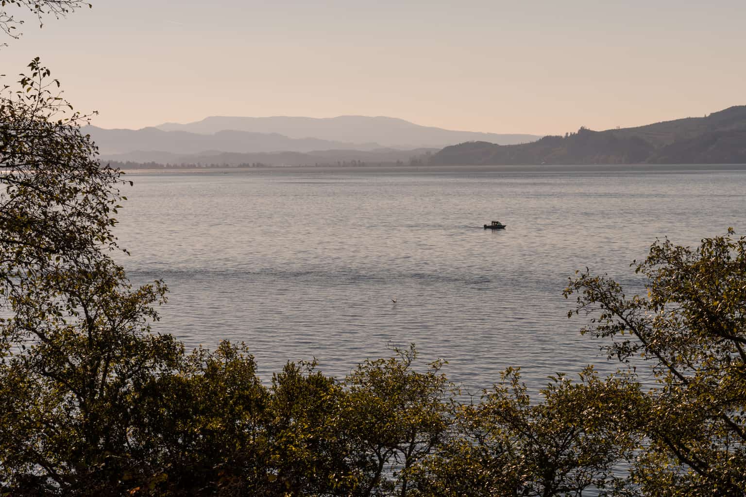 Boat motoring on tillamook bay at sunrise.