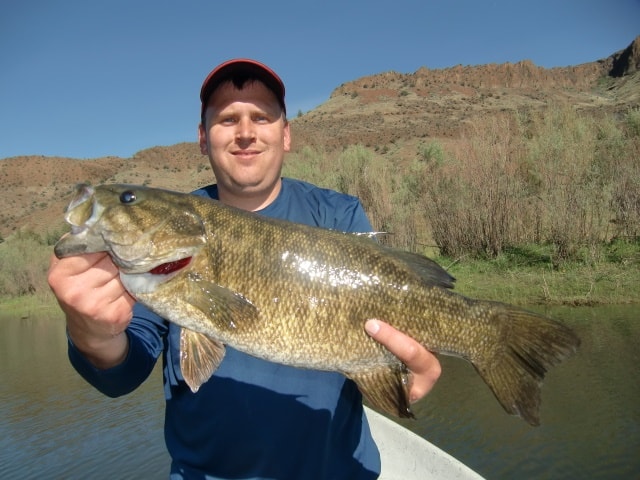 An angler holding a john day river trophy sized smallmouth bass.