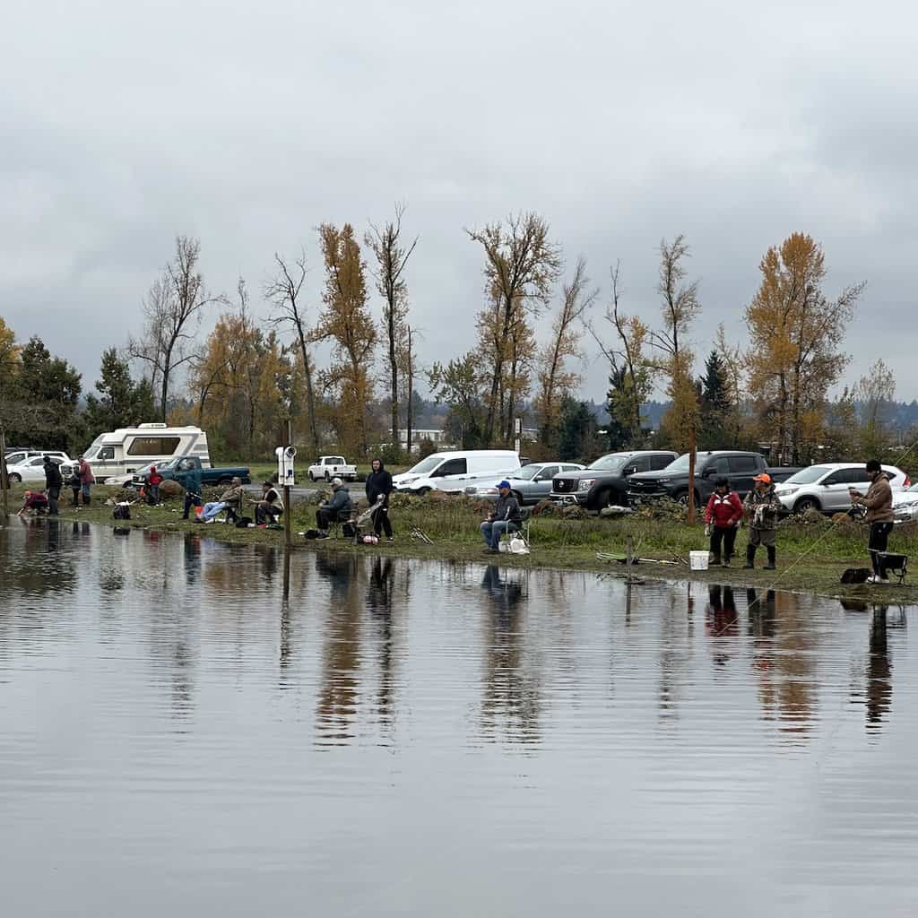 Anglers line the shore of Walter Wirth Lake in Salem, Oregon, while fishing for stocked rainbow trout.