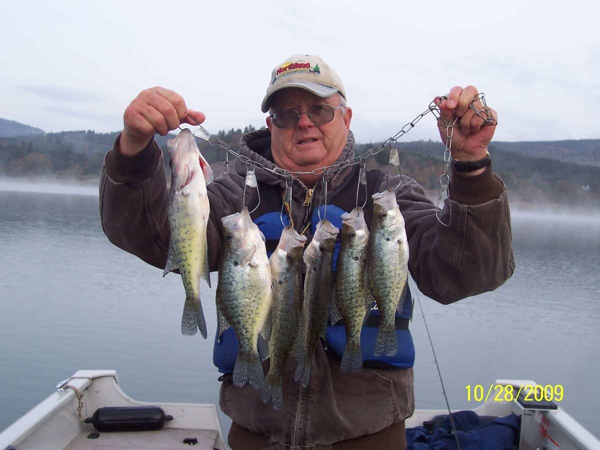 An angler with stringer of crappie.