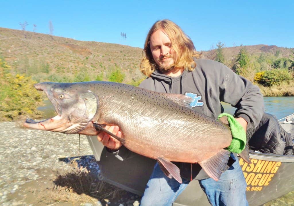 A man holds a large elk river salmon.