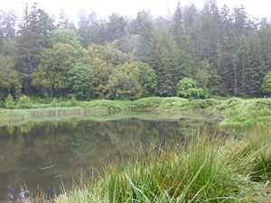 A scenic view of arizona ponds.