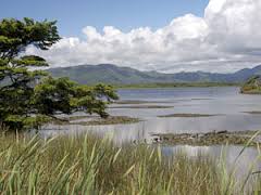 A scenic view of cape meares lake.