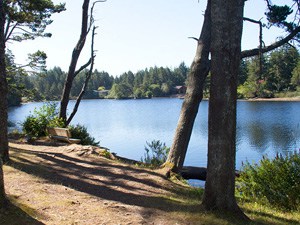 A scenic view of saunders lake.