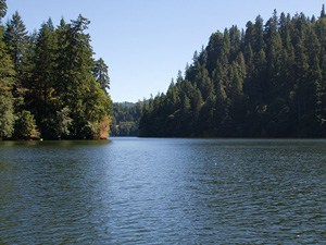 A scenic view of loon lake in southwestern oregon.