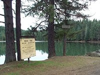 A scenic view of medco pond with trees.