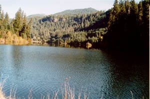 A scenic view of toketee lake.