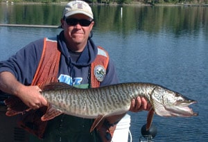 An angler holding a tiger muskie with a scenic view of a lake behind.