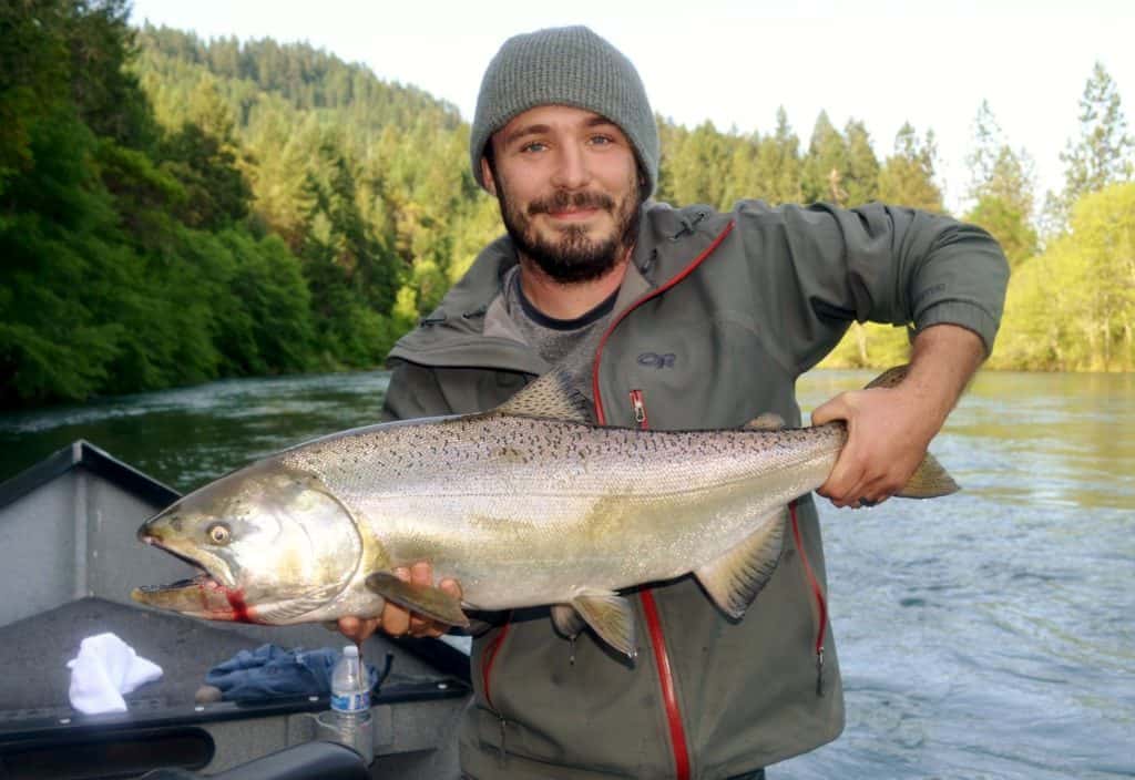 A rogue river spring chinook salmon being held by an angler in a drift boat, with the river in the background.