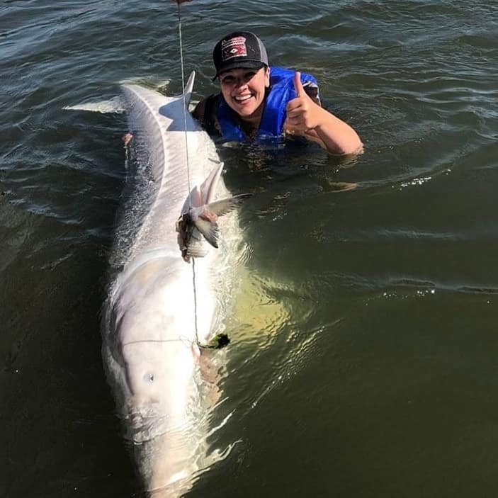 angler in the water with a giant sturgeon caught fishing in the columbia river
