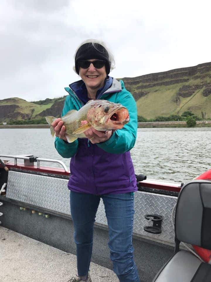 An angler holding a walleye caught at columbia river.