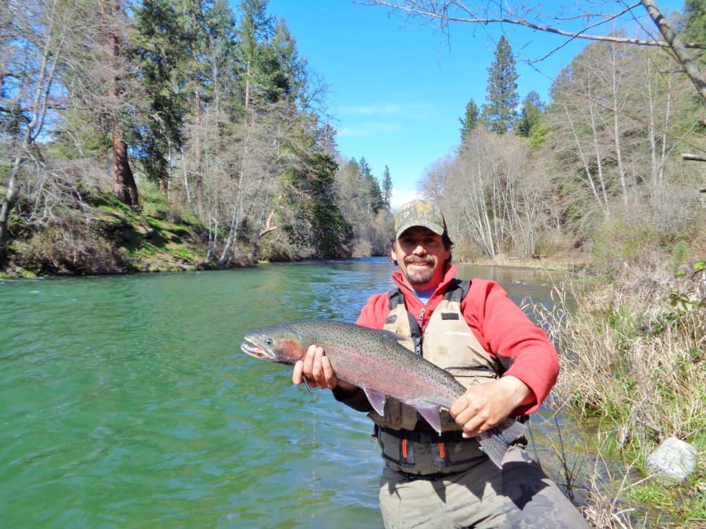 Angler holds a large steelhead caught on the applegate river.