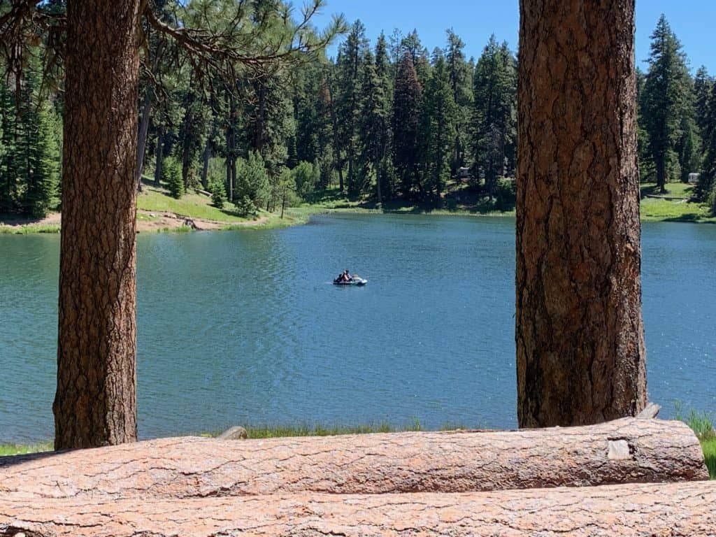 A boat on walton lake and surrounding trees in the area.