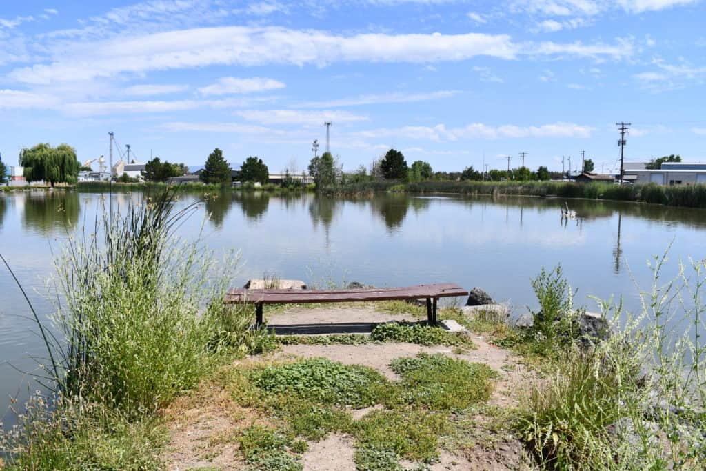 A bench with a scenic view of fireman's pond behind.