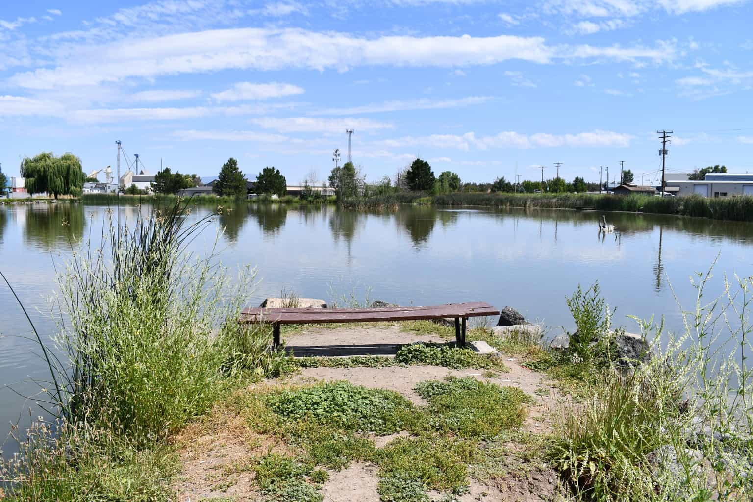 A scenic view of fireman's pond in redmond.