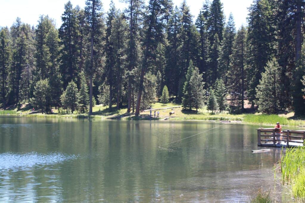 Angler fishing from a dock at Walton Lake.