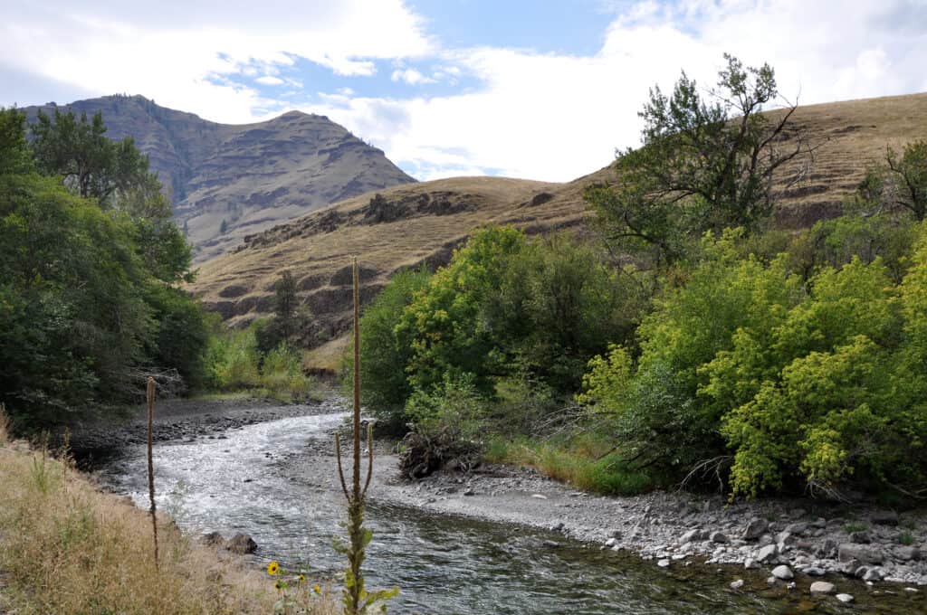 The Imnaha River flowing through a remote landscape in Northeast Oregon.