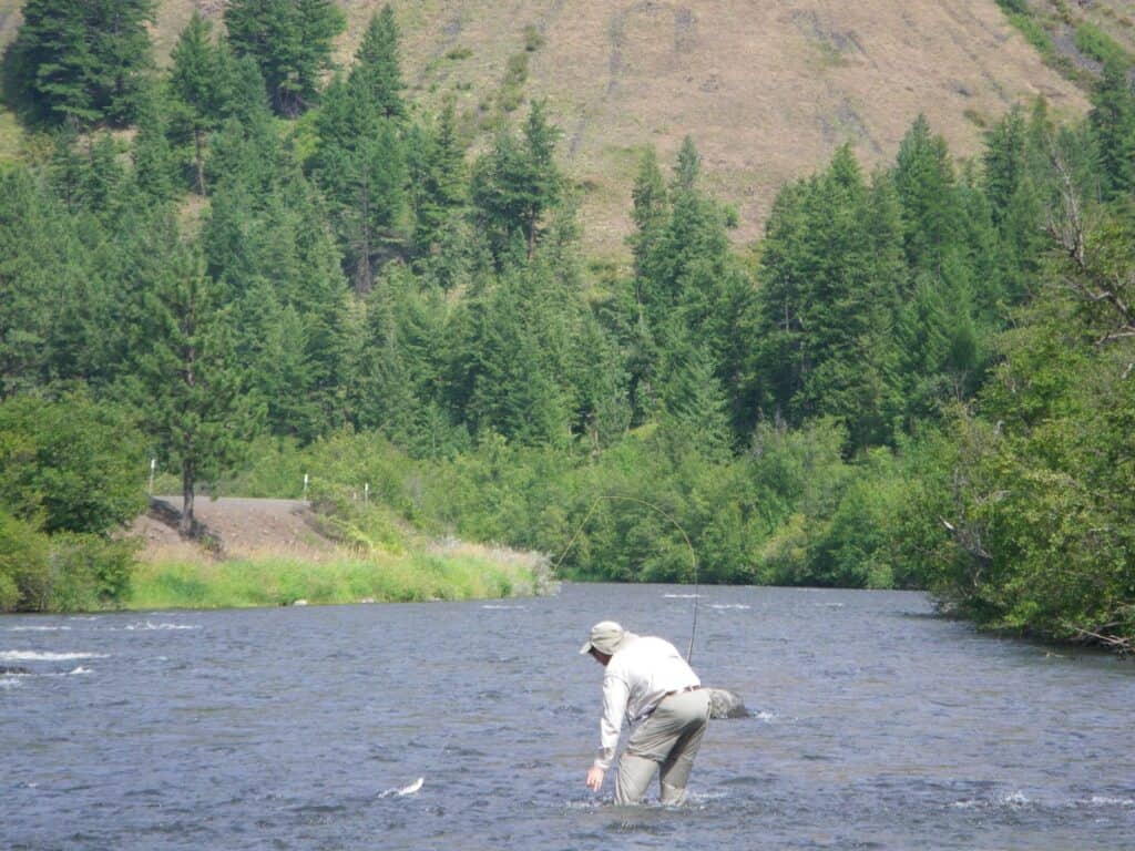 An angler fly fishing for trout at wallowa river.